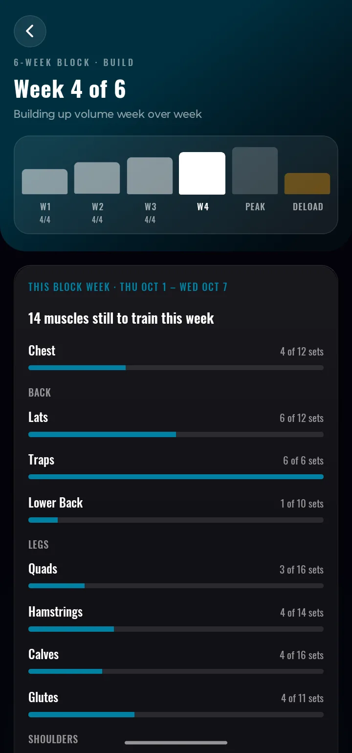 The Rebar training block page: six weeks building to a peak and a deload, the weeks completed so far, and this week's sets per muscle against the block's targets (sample data).